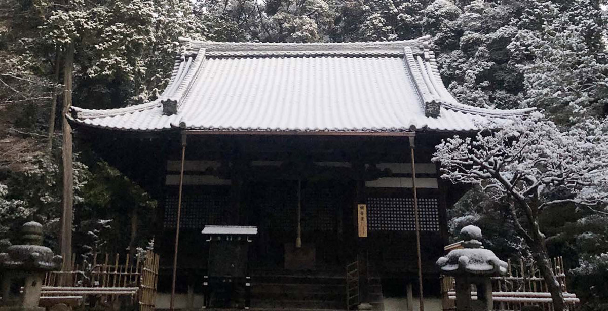 2024年1月6日(土) 7日(日) 新年特別拝観のお知らせ