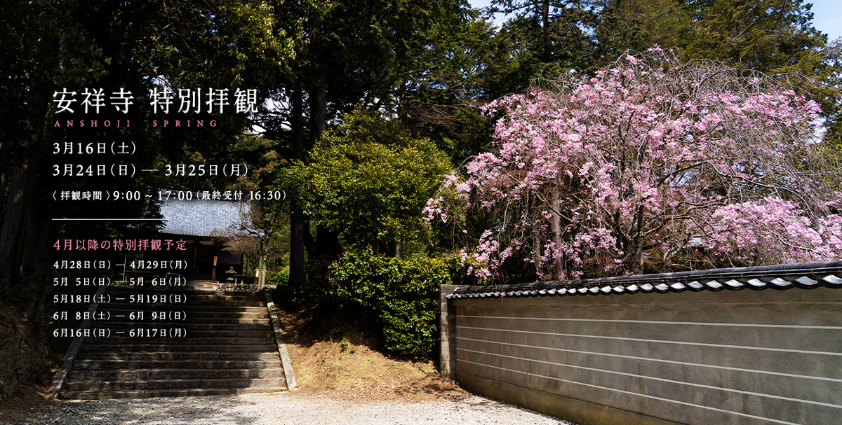 2024年 特別拝観のお知らせ