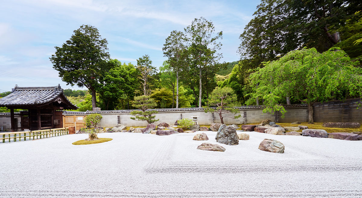 五智遍明庭 完成のお知らせ