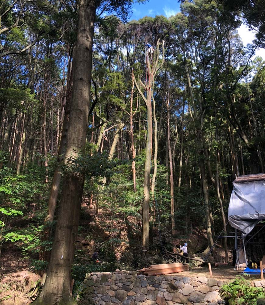 青龍殿 周辺整備の様子1