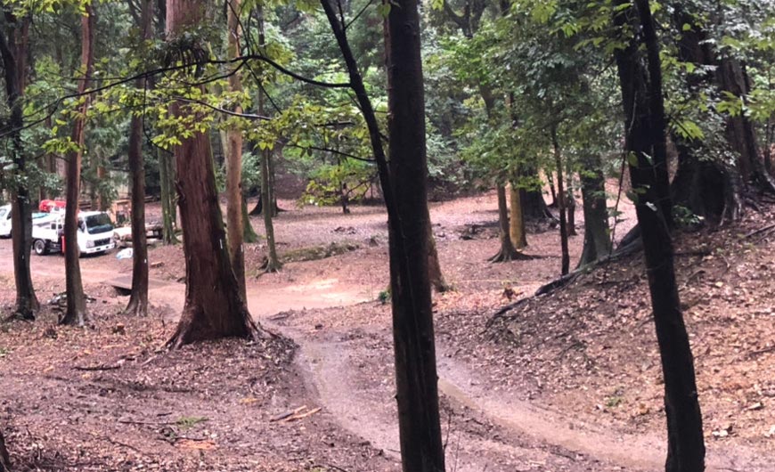 青龍殿 周辺整備の様子3