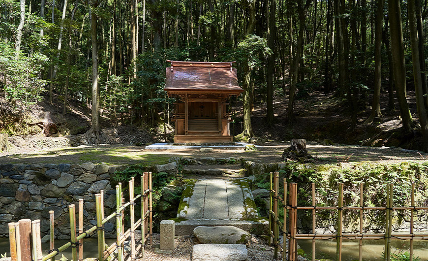 青龍殿 社殿修復の様子2