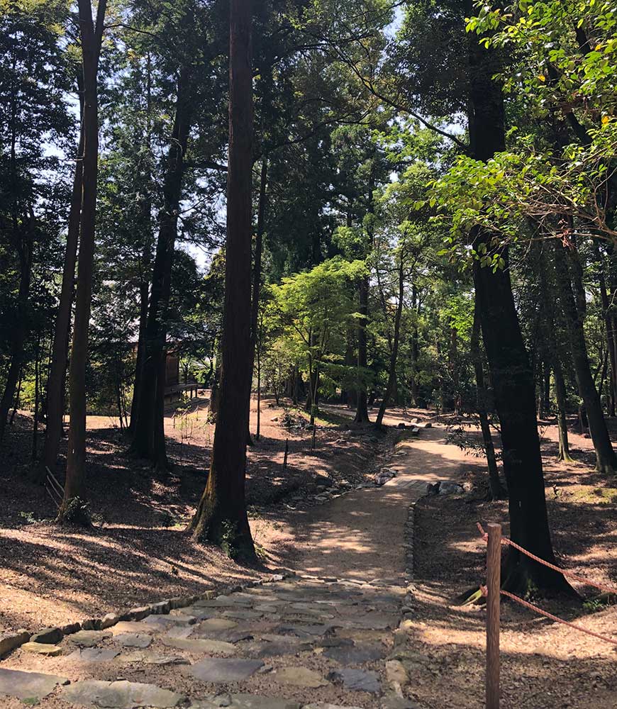 青龍殿前 参道 及び 周辺整備の様子2