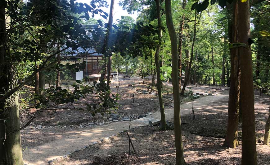 青龍殿前 参道 及び 周辺整備の様子3