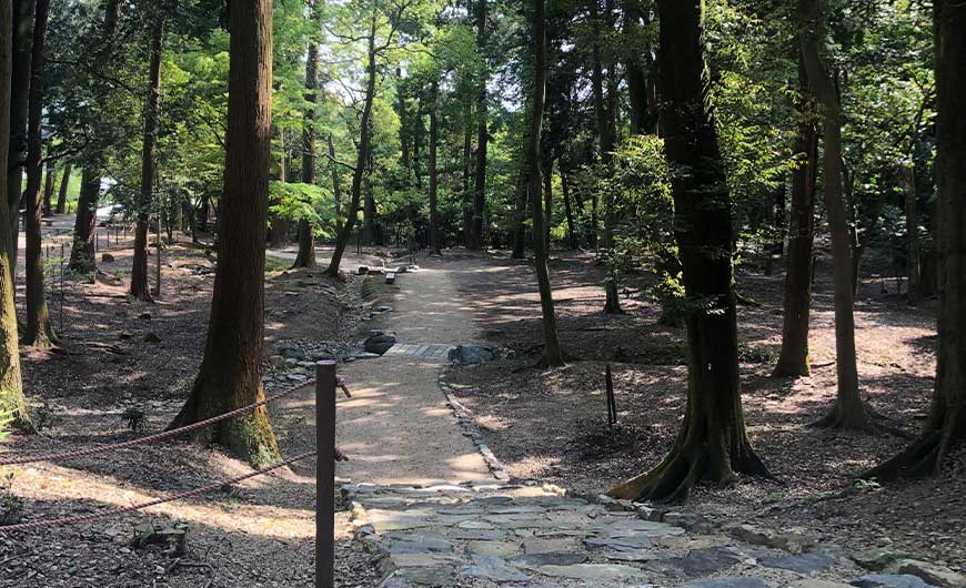 青龍殿前 参道 及び 周辺整備の様子4