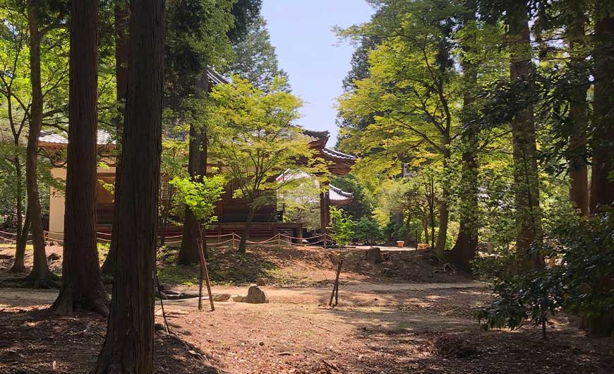 青龍殿前 参道 及び 周辺整備の様子5