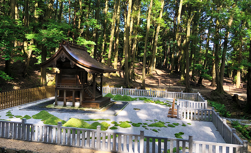 蘚苔蟠龍 完成のお知らせ 2